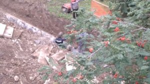 VID_20260813_114905.mp4