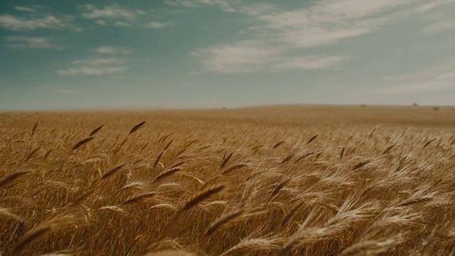 Ветер перемен. Новая песня новый клип от Шкатулка Музыканта Автор Ш. А #музыка  #шкатулкамузыканта