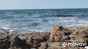 #море Море волнуется раз...
