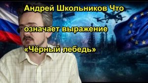 Андрей Школьников Что означает выражение «Чёрный лебедь»