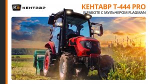 КАК БЫСТРО ПРИВЕСТИ УЧАСТОК В ПОРЯДОК? Трактор Кентавр Т-444 PRO и мульчер Flagman знают свое дело!