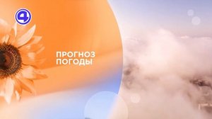 Утренний экспресс от 14.08.26: Мне это надо! Бесполезные вещи, которые приносят радость