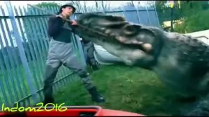 Mosasaurus Tribute - Can't Take My Hands Off You