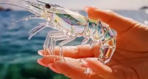 #ASMR 🦐🦐МЕРЕПРОДУКТЫ🦐🦐💎💎ХРУСТАЛЬНАЯ СКАЗКА💎💎💥