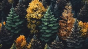 ЛЮДИ ГОВОРЯТ. СПАСИТЕЛЬНЫЕ РИТУАЛЫ... ВЕДЬМИНА ИЗБА. ИНГА ХОСРОЕВА.