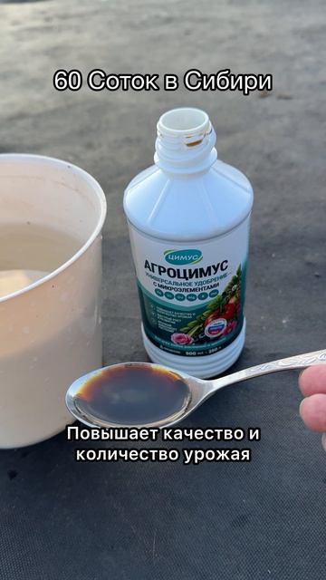 1 литр под Огурцы в Августе и старые огурцы заплодоносят с утроенной силой!
