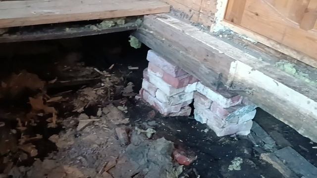 Операция по смене пола в полном разгаре /Межстоличье