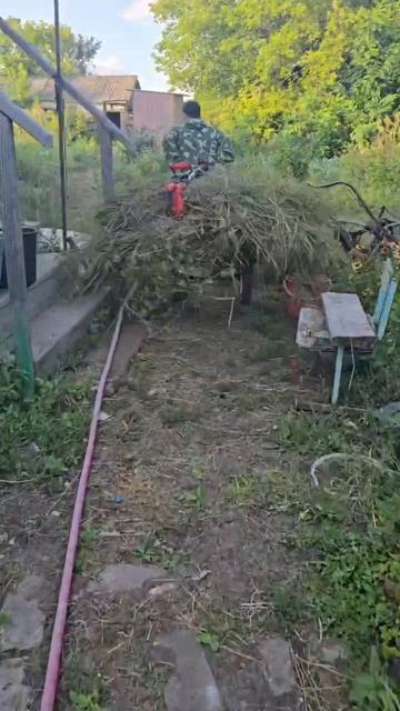 покос триммером