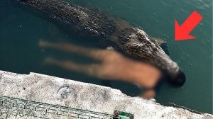 Если Бы Это Не Сняли На Камеру, Никто Бы Точно Не Поверил