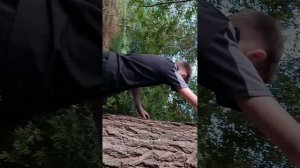 что добавить в штаб