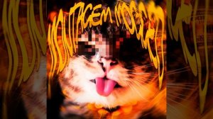 MONTAGEM MOGGED