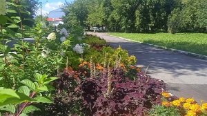 ЕЛАНСКИЙ ПАРК
