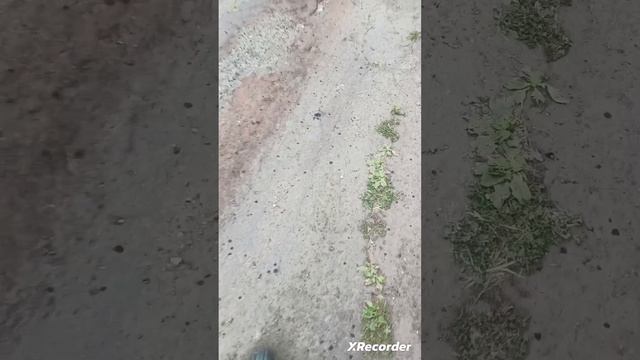 серял про сирена головава и бабку грени 2 сезон 1 серия  что это
