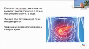 14.08 Российское долголетие. Поджелудочная железа