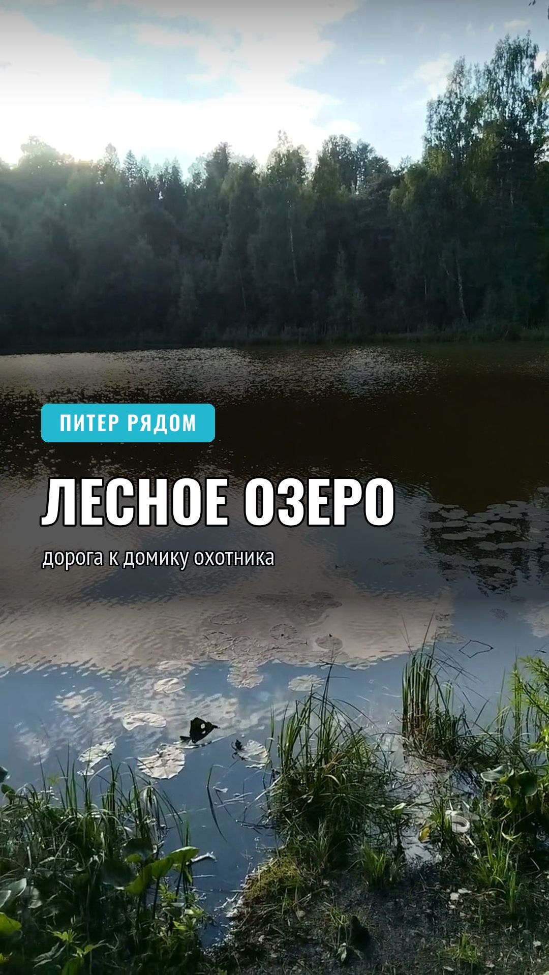 Дорога к домику охотника: лесное озеро в Ленобласти