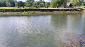 обзор водоёма РК «Фишка» Петряиха