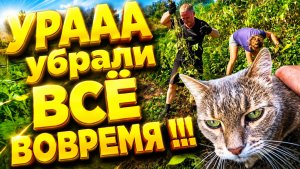 РЕШИЛИ ВСЮ УБРАТЬ | Всё СВОИМИ РУКАМИ | Дом в деревне