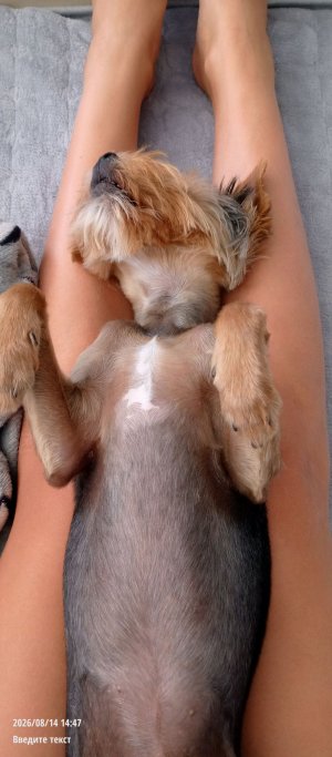 прям милота;))🥰🥰🥰