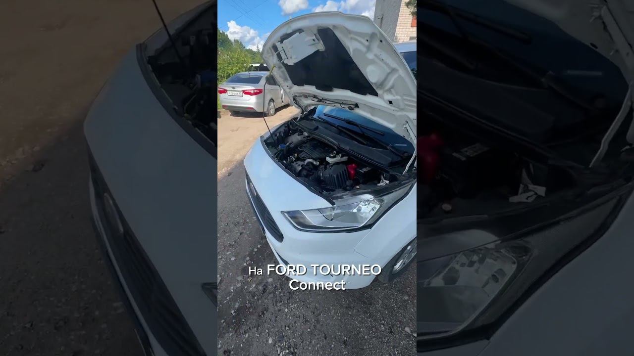 Зарегистрировали замену дизел ДВС с ZTGA на ZTDA/Ford Tourneo #переоборудование  #заменадвигателя