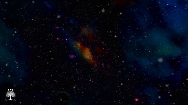 Львы. Солнечное затмение во Льве, или , 19,20,21 градус Льва в 1 доме.