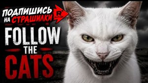 🚸😸НЕ ИДИТЕ ЗА КОШКАМИ. 🔞СТРАШИЛКи МОМО.