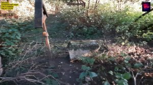 Москва. Приходское кладбище. Покровский парк. Август 2026.