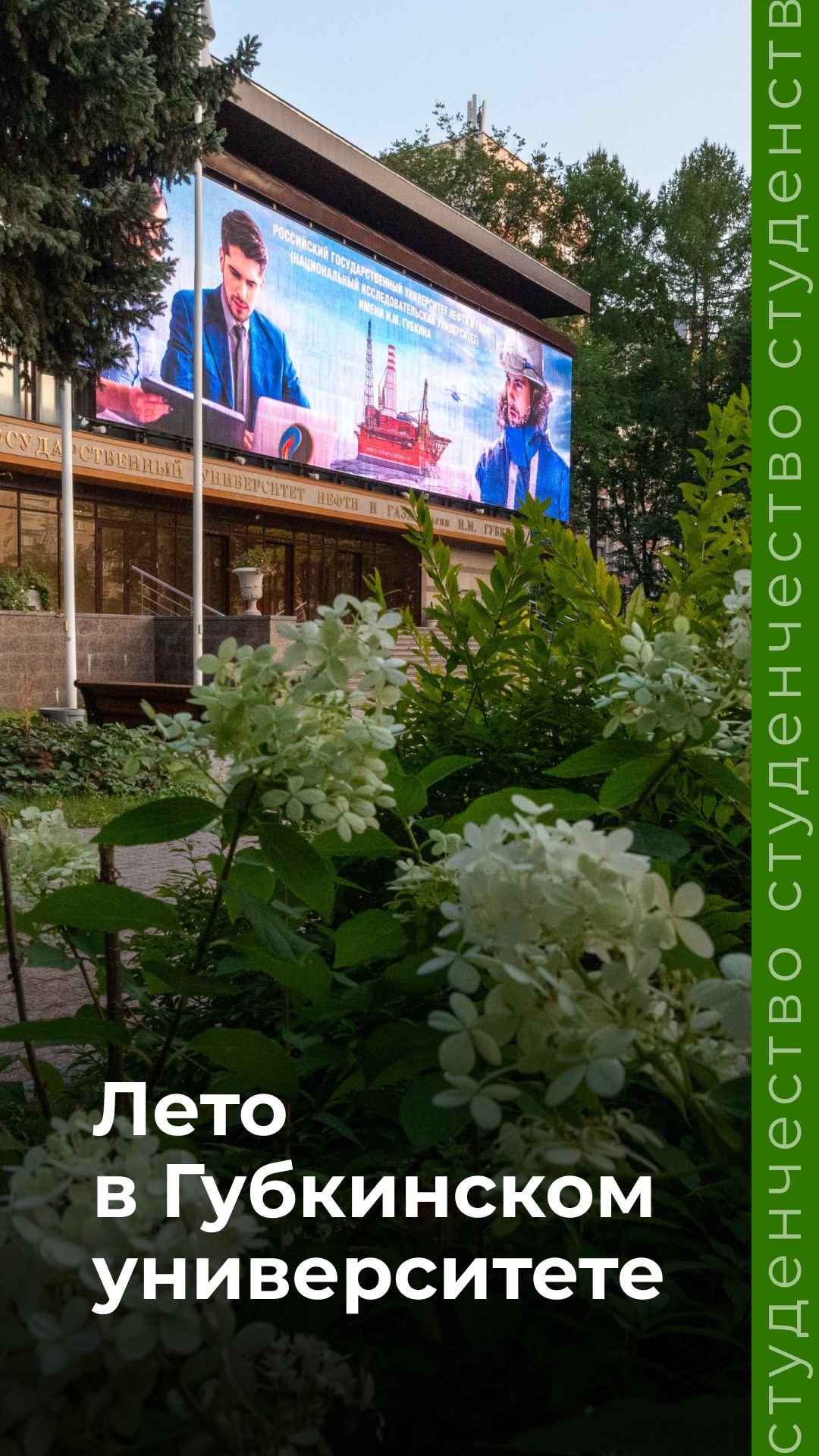 Лето в Губкинском университете