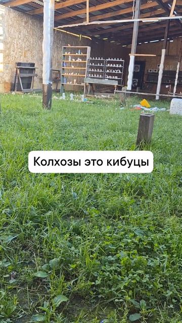 колхозы это кибуцы