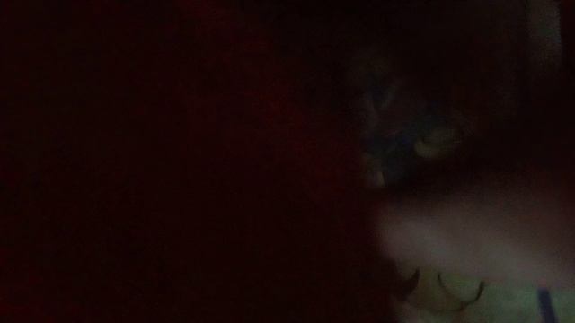Мы строим дом из подушек