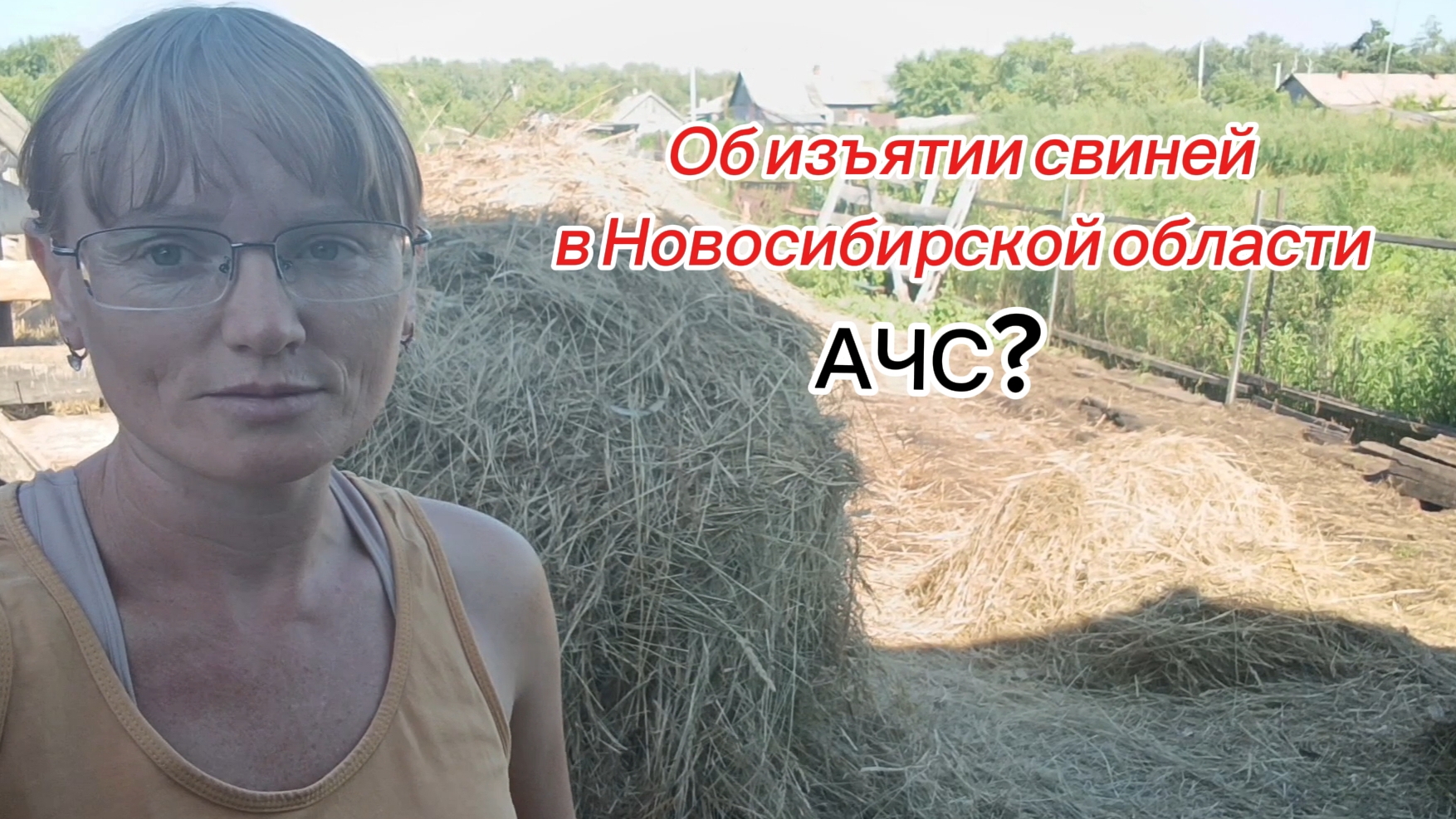 Поездка к родителям/Изъятие свиней в Чановском районе