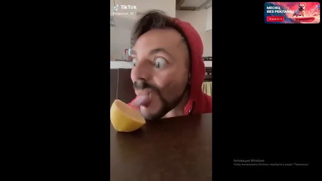 смешные видео
