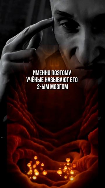 Что влияет на настроение