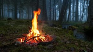 Костёр в туманном лесу у реки - настоящие успокаивающие звуки. 4К