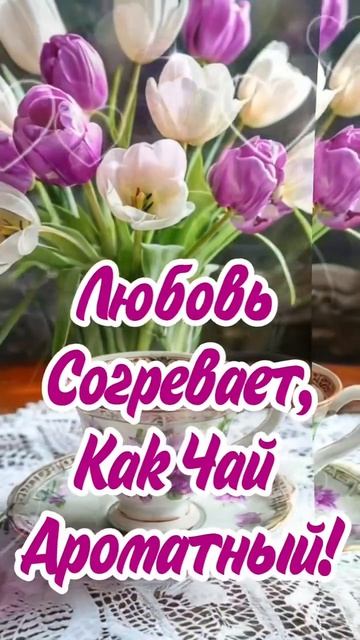 Тебе мой утренний привет!