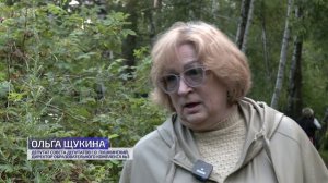 Вопросы ливневых стоков, парковок, озеленения обсудили с жителями улицы Добролюбова в Пушкино