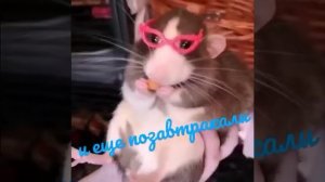 С Добрым утром!