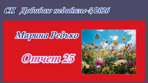 СП «Добиваю недовязы-5/2026» / Отчет 25