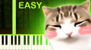 Dam Dam DidiDidi Cat Song - EASY Piano