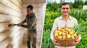 Всё в пыли! Чистим сруб от пыли после шлифовки и убираем лук на хранение. Деревенские будни.
