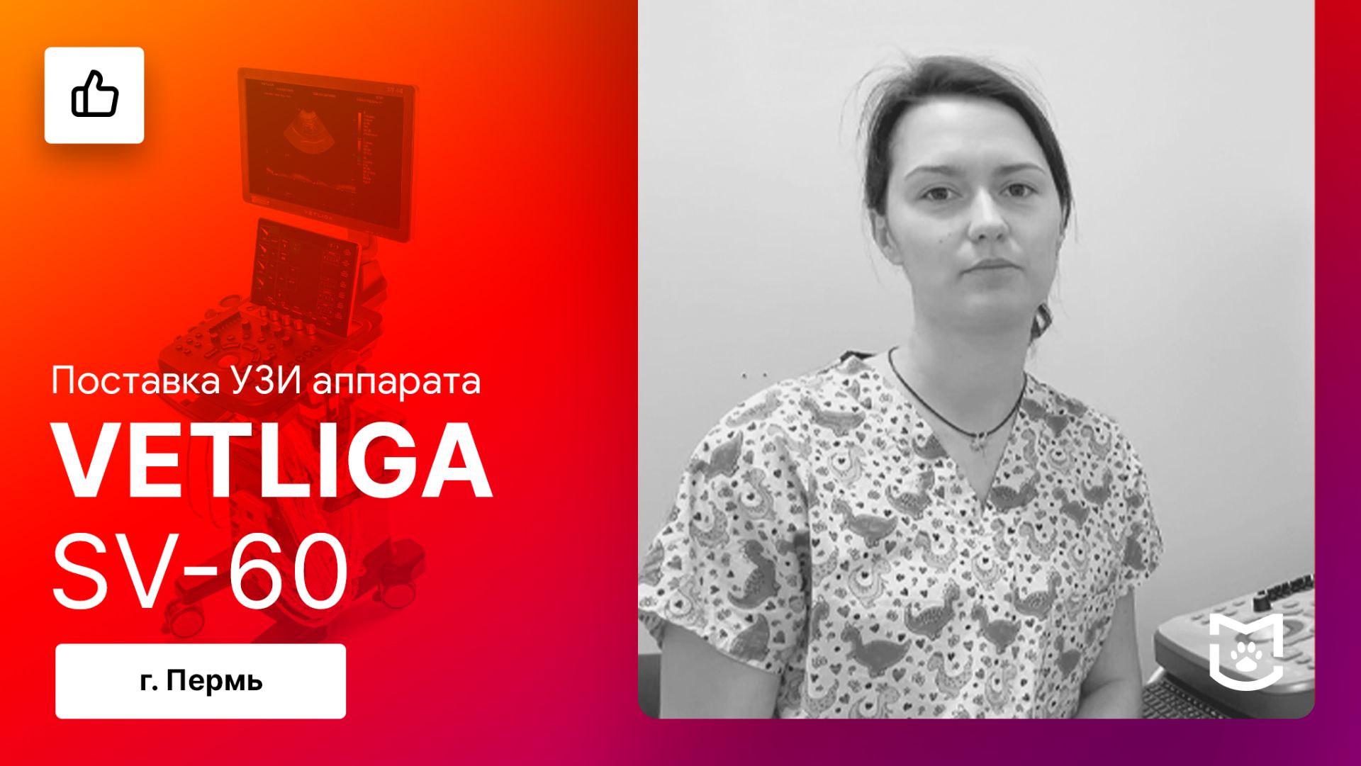 Отзыв на поставку ветеринарного УЗИ аппарата VETLIGA SV-60 / Пермь