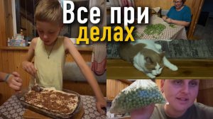 Ребята пекут ПП кекс, а мы с мамой перебираем горох. Все при делах