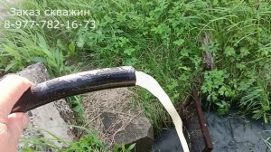 Абиссинка с минимальным напором.