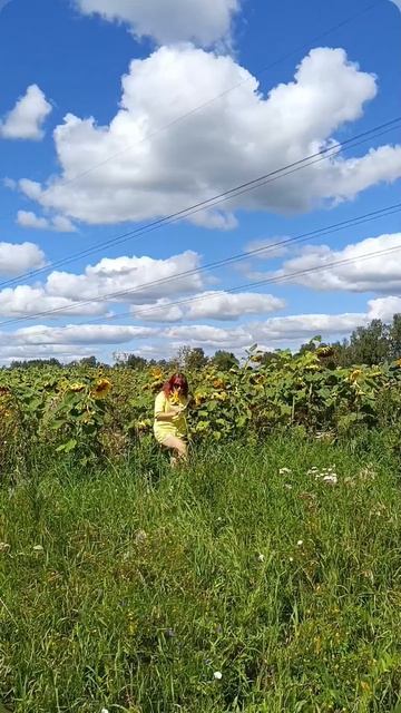 в поле подсолнуха! для нее найду слова...