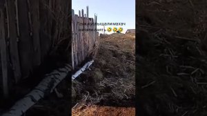Весна, кровь кипит, пора разборок 🤣🤣🤣
