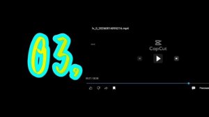 lv_0_20260814114108.mp4
