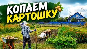 Ну всё, пора копать картошку! 🥔 Большой деревенский влог