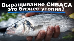 ТОП-7 Ниш в РЫБОВОДСТВЕ с ОГРОМНЫМ Потенциалом ПРИБЫЛИ