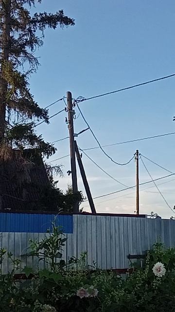 Дятлам понравился столб электрический