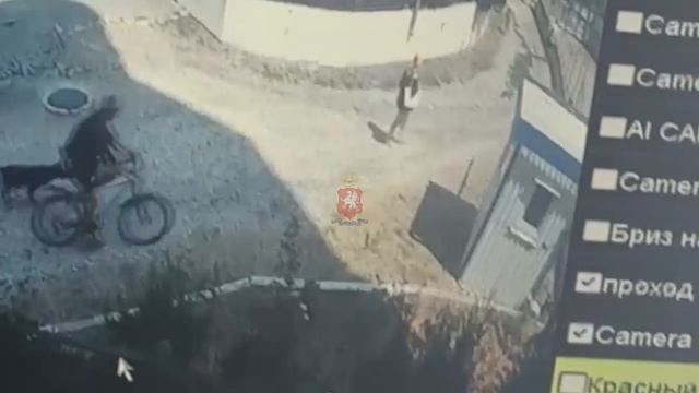 Севастопольские полицейские задержали местного жителя за кражу велосипеда