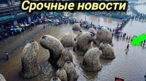 14-08-2026. ЧП❗КАТАКЛИЗМЫ❗КАТАСТРОФЫ‼️ ПРОИСШЕСТВИЯ ЗА ДЕНЬ. новости дня. СЕГОДНЯ. Россия США Китай